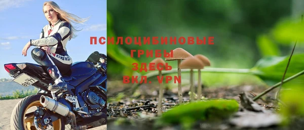 синтетический гашиш Богданович