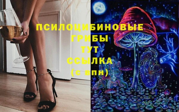 MDMA Богородицк