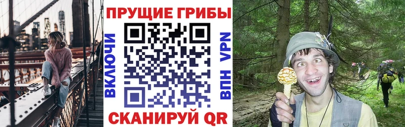 Псилоцибиновые грибы GOLDEN TEACHER  ссылка на мегу рабочий сайт  Дмитровск 