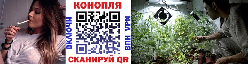 закладки Дмитровск Марихуана ГИДРОПОН